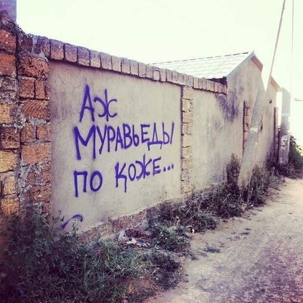 Забавные надписи и объявления