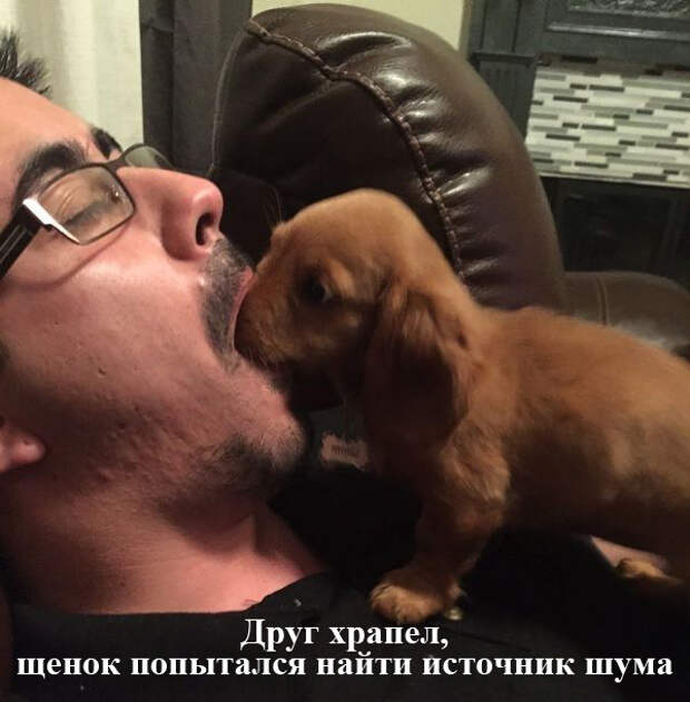 ПОДБОРКА ФОТОПРИКОЛОВ № 325