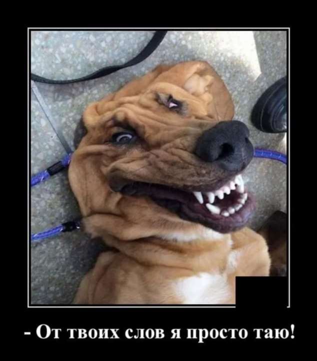 Демотиваторы про коронавирус с надписями. Подборка chert-poberi-dem-koronavirus-chert-poberi-dem-koronavirus-08320614122020-12 картинка chert-poberi-dem-koronavirus-08320614122020-12