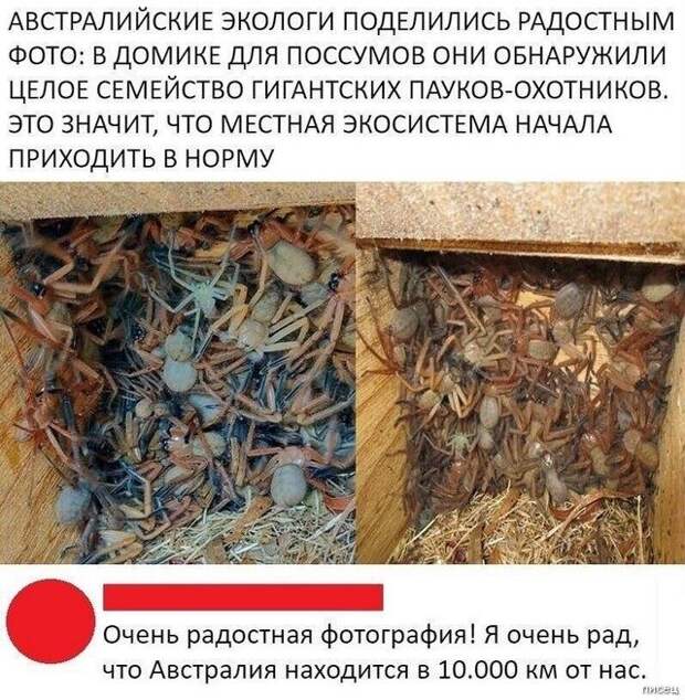 100% приколюхи, от которых болит живот