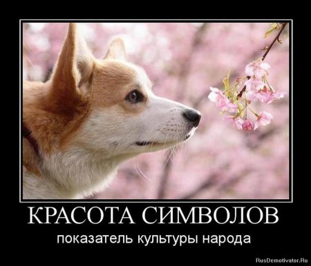 Демотиваторы про дружбу и любовь со смыслом.
