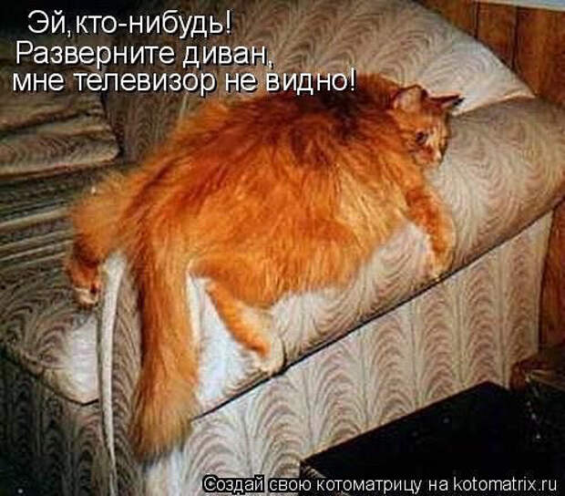 image (500x439, 189Kb)