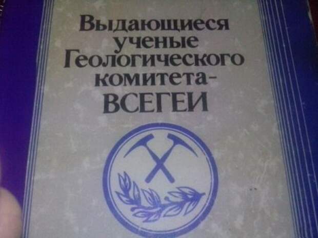 Картинки прикольные и настроение будет хорошим.