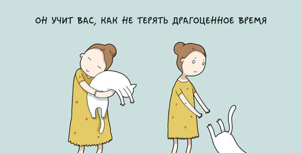 забавные причины завести кота
