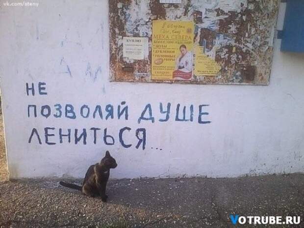 Когда корявые надписи на стенах смотрят прямо в душу Выпуск 595 (23 фото)