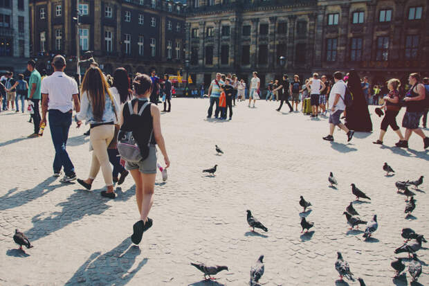 Wandering in Amsterdam