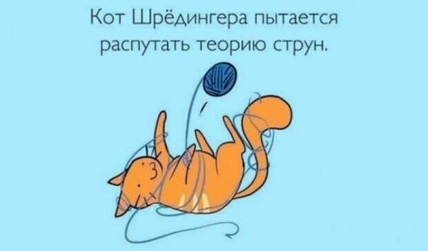 Шутки учёных (11 шт)
