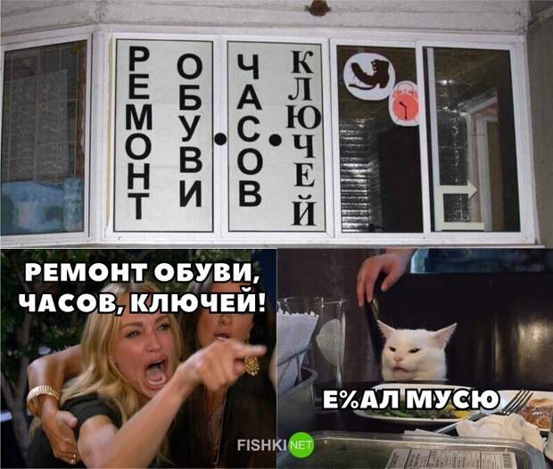 И снова всё опровергающий котик И снова всё опровергающий котик