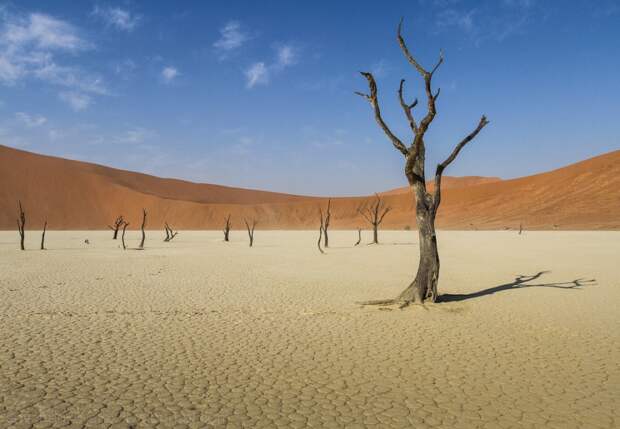 Sossusvlei19 Африка. Намибия. Пустыня Намиб   Соссусфлей
