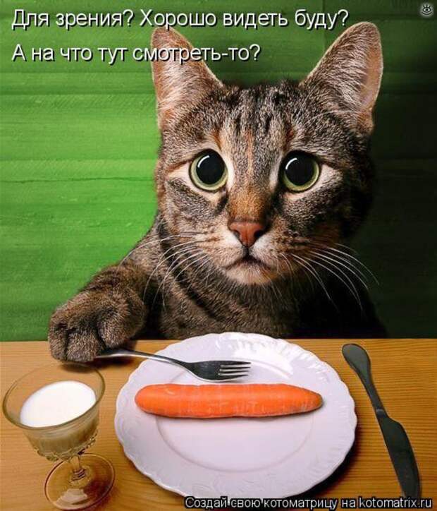 Чудная котоматрица 18