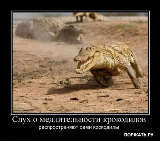 Демотиваторы фото и прикольный текст к ним.