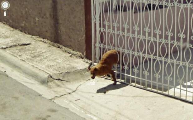 Google street view (2)