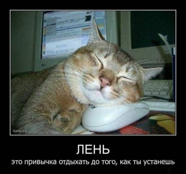 Не просто демотиваторы, а только лучшие каждый день, для вас!