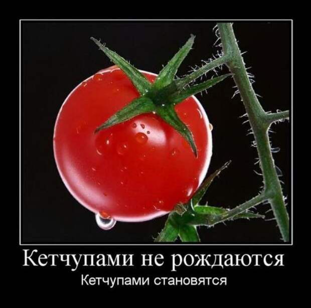 Демотиваторы со смыслом 31/05/11