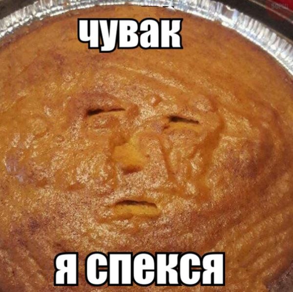 Прикольные картинки. Дневной выпуск (63 фото)