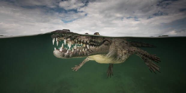 Победители конкурса панорамной фотографии The EPSON International Pano Awards