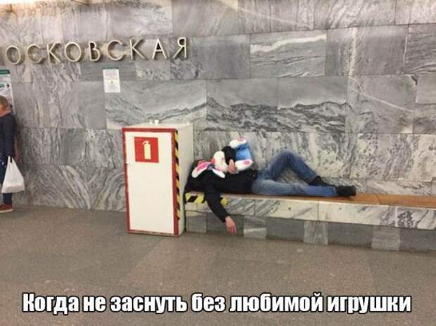 Картинки, юмор, приколы