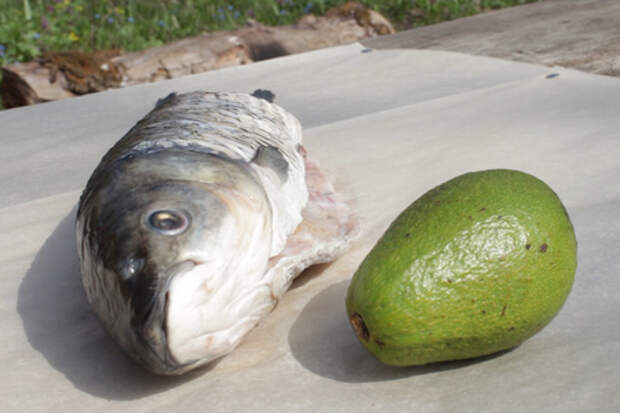 Фото к рецепту: Белый амур с авокадо на углях