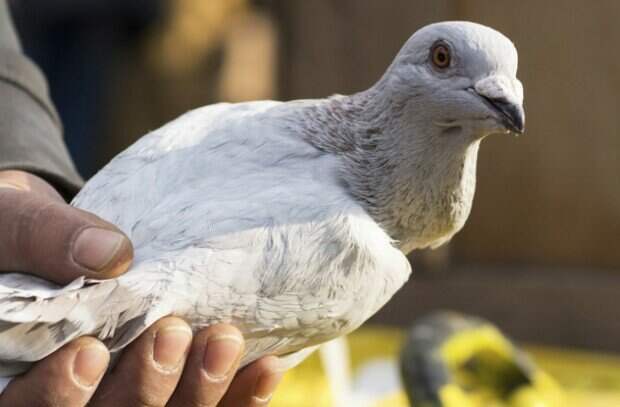 10 тайн мира, которые наука, наконец, раскрыла