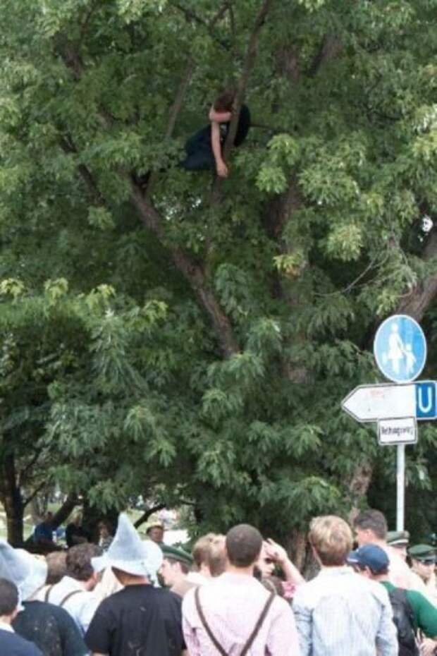 Дверь открывай в новый день с новыми фотоприколами!