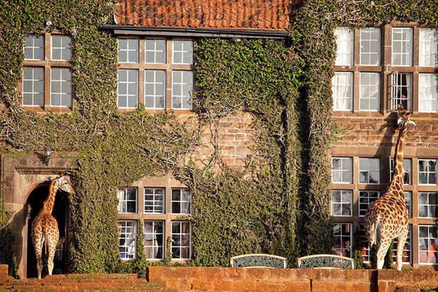 7. Giraffe Manor, Кения мир, отель