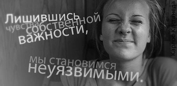 Мир Попугаев