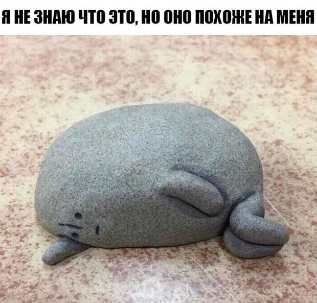 Забавные и прикольные картинки с надписями со смыслом