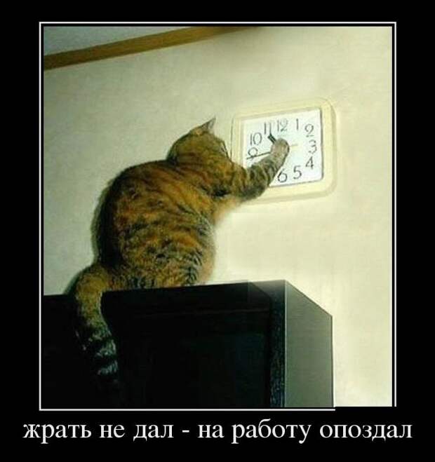 Сборник моих демотиваторов демотиватор, сборник