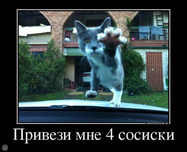 Ура, воскресенье! 20