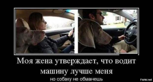 Подборка демотиваторов демотиваторы, прикол, юмор