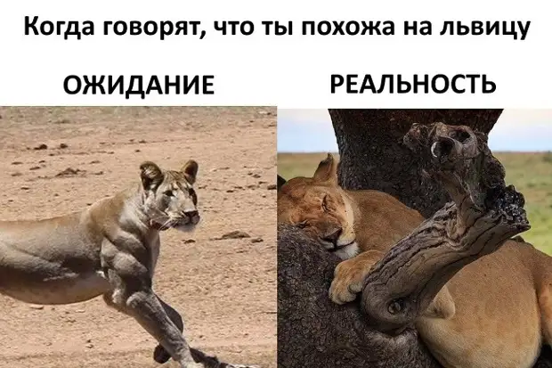 Я живу в полном достатке! Достало всё! Я живу в полном достатке! Достало всё! возьми, покупает, просто, мужик, почему, магазине, джинсы, потом, потому, самом, пользуется, экономики, смотреть, корову, РязаниКорова, хорошаМолока, Дорогой, завалисьОдно, только, подпускаетПриведут