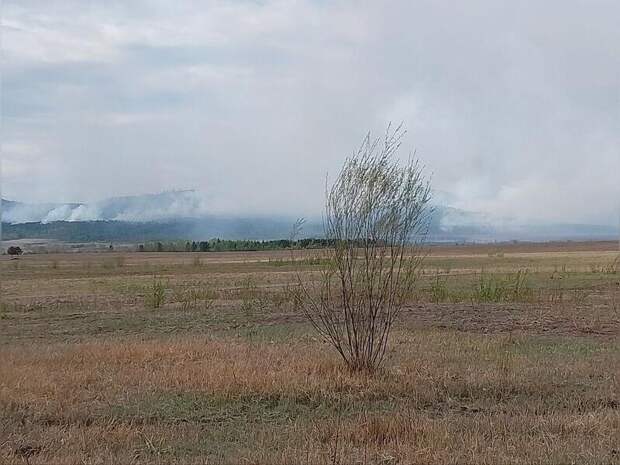 МЧС: пожар не угрожает селу Зыково