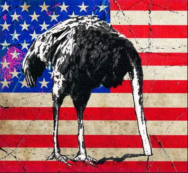Как американские страусы из CNBC «победили» русского «Буревестника»