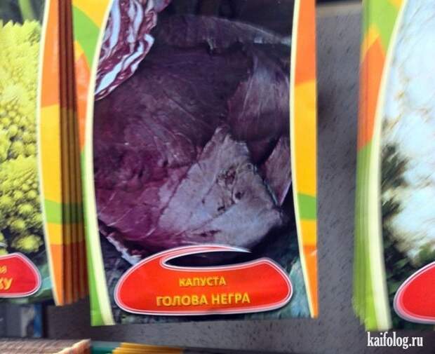 Прикольные семена (35 фото)