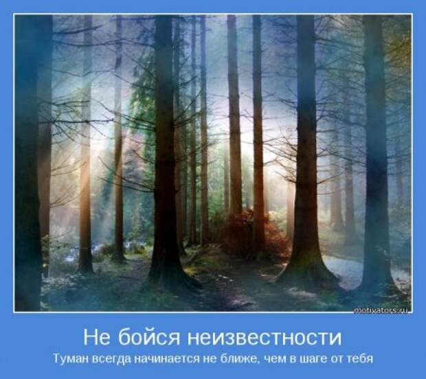 Серьезные цитаты, заключили в синие рамки и дополнили красивыми картинками, читайте это интересно.