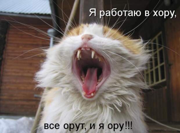 Животные мысли вслух Животные мысли вслух