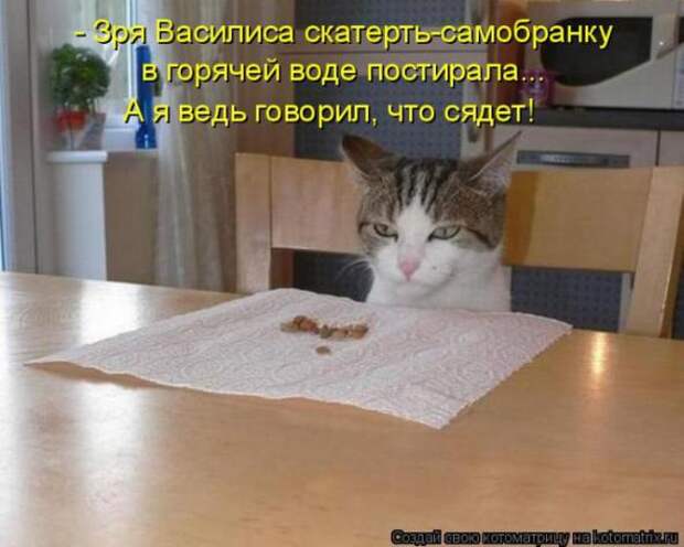 Котоматрицы (картинки с надписями)