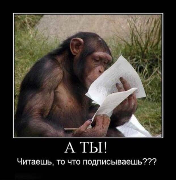 Демотиваторы и все самое прикольное на фото.