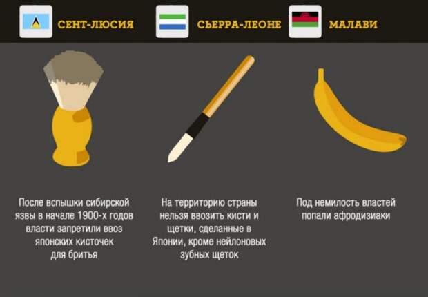 Что запрещено ввозить в некоторые страны вещи, запреты, страны