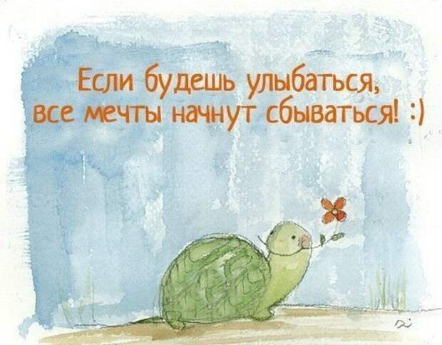 Позитивные фразочки в прикольных картинках