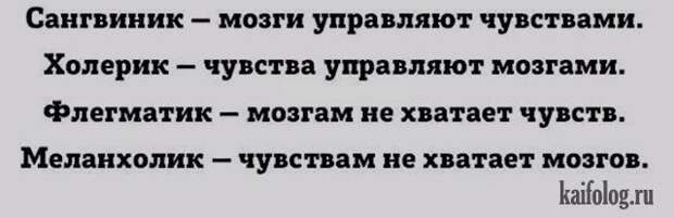 Прикольные открытки (40 открыток) Прикольные открытки (40 открыток)