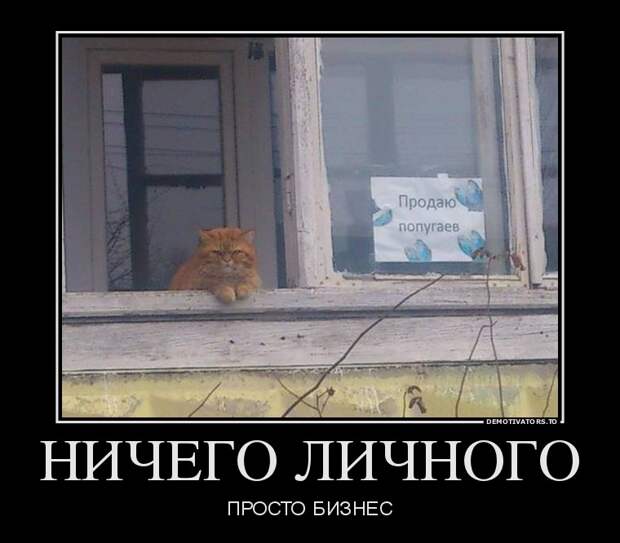 Демотиваторы демотиваторы, прикол, смех, юмор