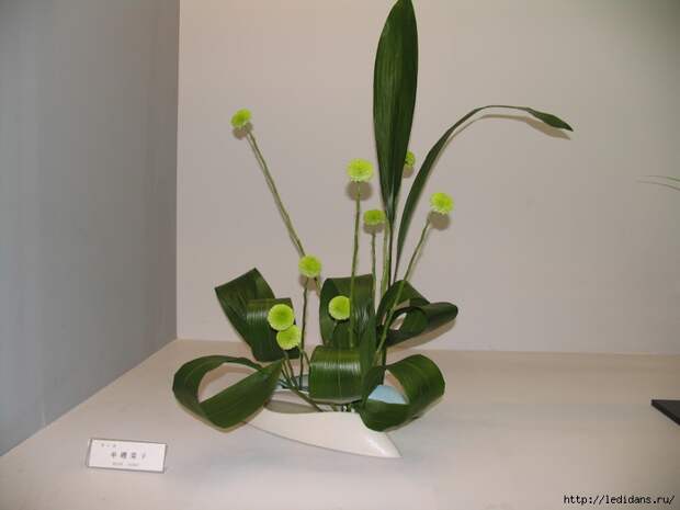 038 (700x525, 204Kb)