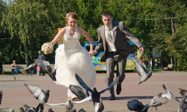 Свадебные фотографы, "Как не надо снимать свадьбу" кадр, свадьба, юмор
