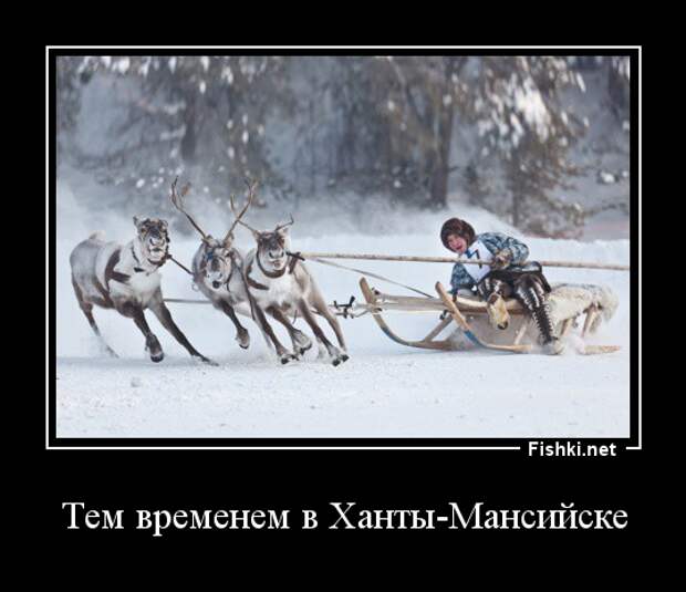 Это Сибирь, детка! жизнь, мороз, прикол, сибирь