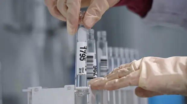 Найден способ быстрого обнаружения различий в ДНК донора и реципиента при пересадке костного мозга