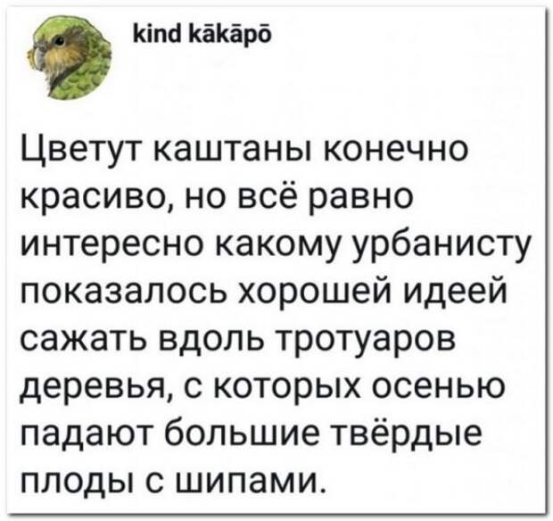 Забавные комментарии из социальных сетей