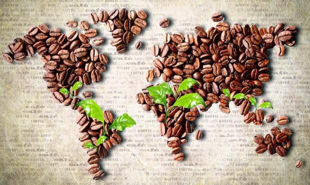Карта из кофе, Интересные факты о кофе