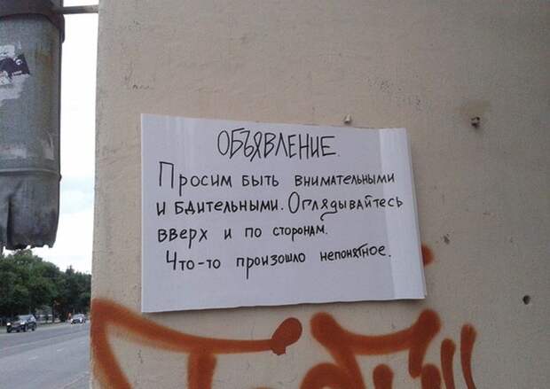 Прикольные картинки (92 фото)