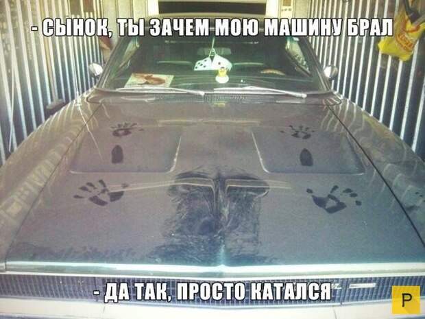 Забавные приколы на дороге (24 фото)